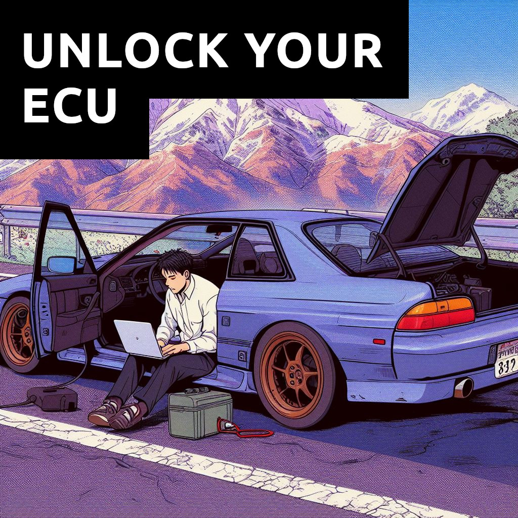 Reset Your ECU